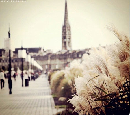 Nước Pháp đẹp lộng lẫy qua ống kính du học sinh Việt - Hình 8