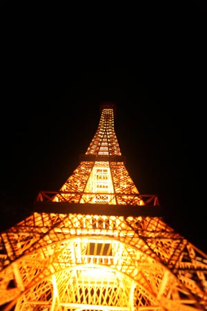 Kỷ lục Việt Nam: Mô hình tháp Eiffel bằng tăm lớn nhất - Hình 1