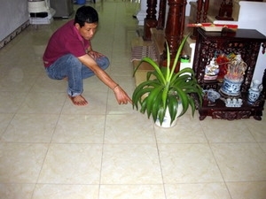 Nền nhà một hộ dân ở Bắc Ninh nóng bất thường - Hình 1