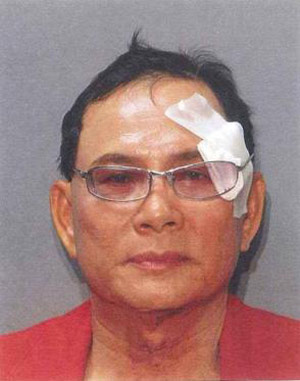 Mỹ xử vụ Lý Tống tấn công Đàm Vĩnh Hưng - Hình 2
