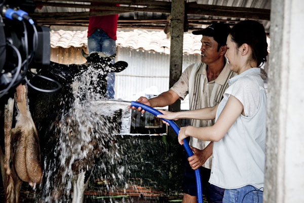 Phương Linh hào hứng... vắt sữa bò - Hình 4