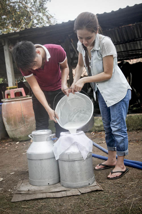 Phương Linh hào hứng... vắt sữa bò - Hình 7
