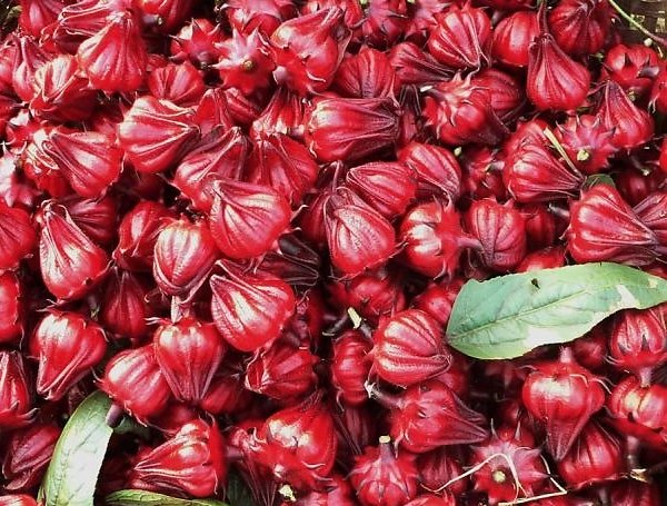 Thăm kinh đô mứt của Việt Nam - Hình 3