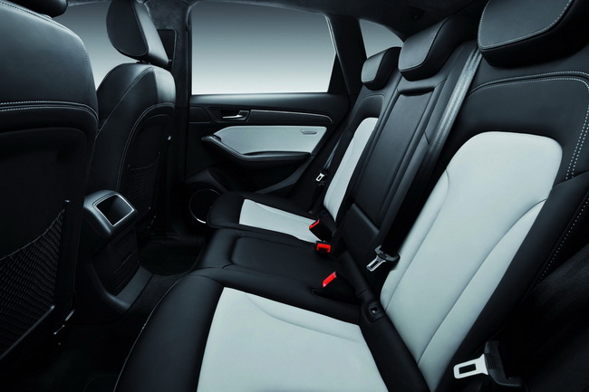 Audi SQ5 TDI - Mạnh mẽ và tiết kiệm nhiên liệu hơn - Hình 9
