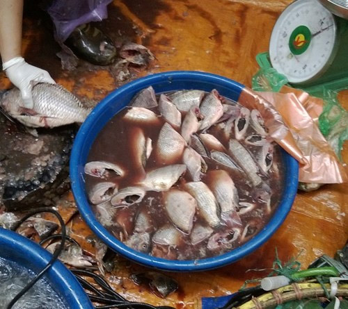 Bún cá bẩn từ A đến Z - Hình 1