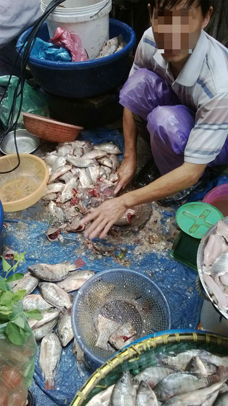 Bún cá bẩn từ A đến Z - Hình 2