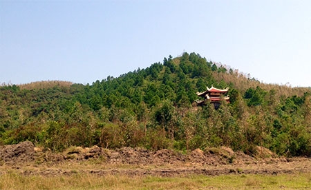 Cân canh vi tri an tang Đai tương Vo Nguyên Giap - Hình 4