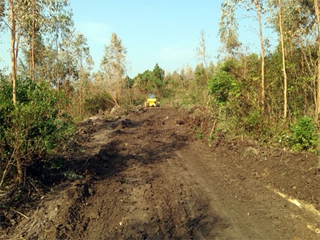 Cân canh vi tri an tang Đai tương Vo Nguyên Giap - Hình 3