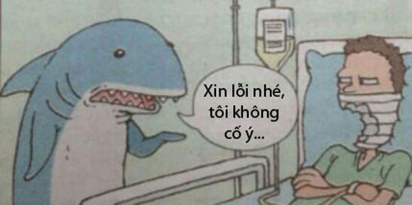 Tranh vui: Cá mập hô hấp là... mồm mấp mô - Hình 2