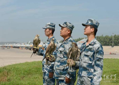 Trung Quốc sử dụng đội quân chim ưng vào việc gì? - Hình 2