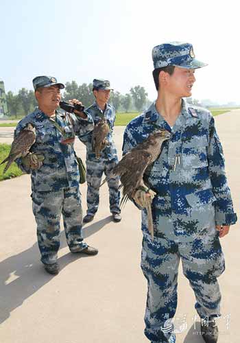 Trung Quốc sử dụng đội quân chim ưng vào việc gì? - Hình 3