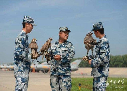 Trung Quốc sử dụng đội quân chim ưng vào việc gì? - Hình 10