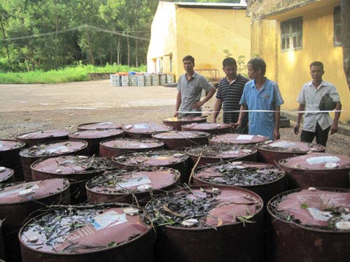 Vụ chôn thuốc sâu: Ghi hình quá trình khai quật - Hình 1