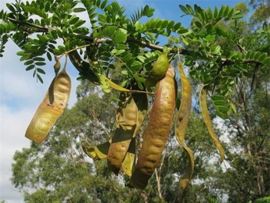 Bí quyết giảm rụng tóc mùa đông - Hình 2