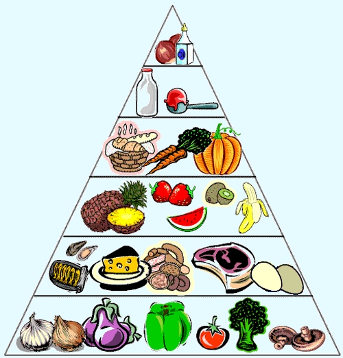 Low carb, ăn thịt thả phanh mà vẫn giảm cân - Hình 2