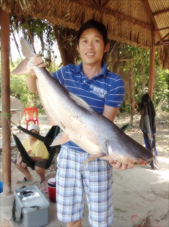 Sao Việt gạo cội thích duy trì hình ảnh dân dã - Hình 2