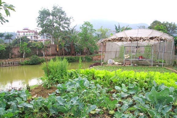 Sao Việt gạo cội thích duy trì hình ảnh dân dã - Hình 5