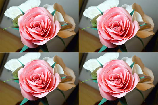 Làm hoa hồng giấy là hoạt động sáng tạo và thú vị cho mọi người. Từ những tấm giấy màu sắc đơn giản, bạn có thể tạo ra những bông hoa hồng xinh xắn để làm quà tặng cho người thân yêu. Hãy xem ngay hình ảnh liên quan để tìm hiểu cách làm hoa hồng giấy đẹp và dễ dàng tại Việt Giải Trí.