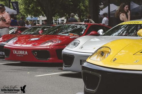 Ngày hội trình diễn Ferrari - Hình 11