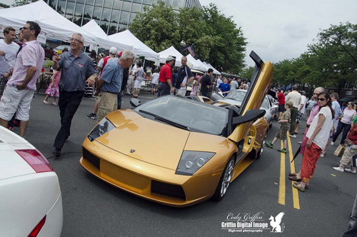 Ngày hội trình diễn Ferrari - Hình 3