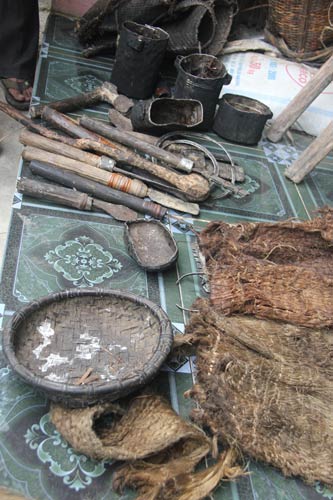Chuyện người rừng mặc khố, sống trên cây - Hình 3