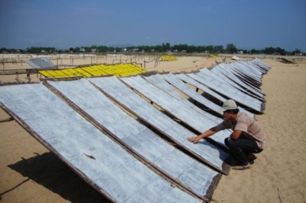 Các món đặc sản không thể bỏ qua của Bình Định - Hình 11