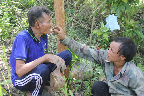 Cha con người rừng lần đầu tiên trở lại với rừng - Hình 5