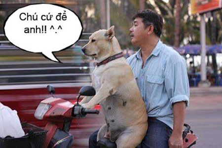 Những khoảnh khắc không đỡ được của trai Việt - Hình 4