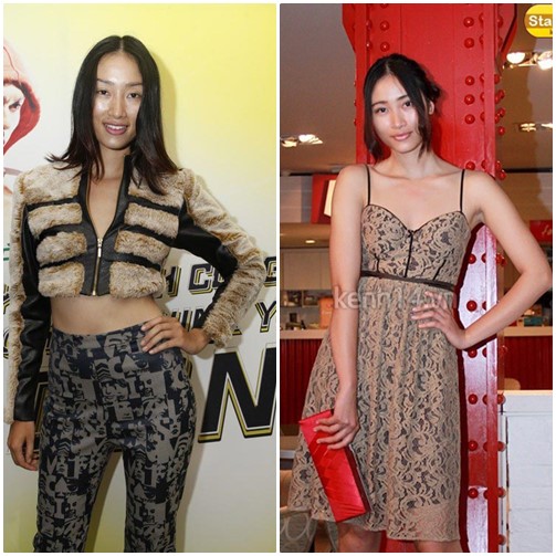 Top Sao Việt phá cách ngoạn mục năm 2013 - Hình 10