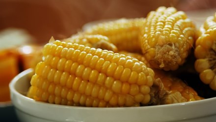 Ăn ngô ngọt ngừa ung thư phổi - Hình 1