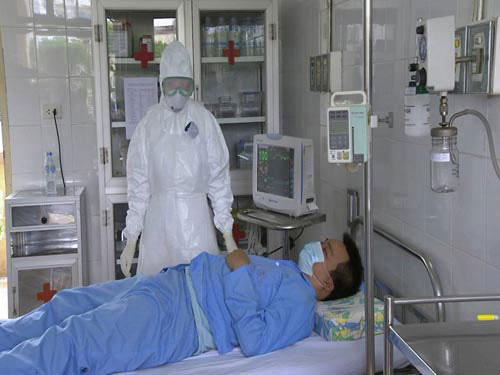 VN hoàn toàn có thể đối phó nếu dịch Ebola xâm nhập - Hình 1