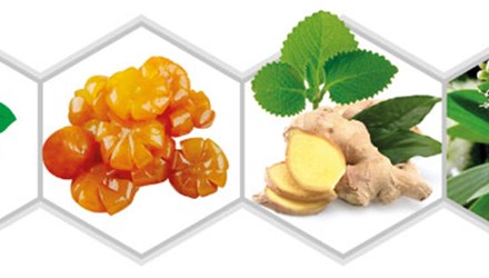 Lạm dụng kháng sinh- Thận trọng khi điều trị ho - Hình 1