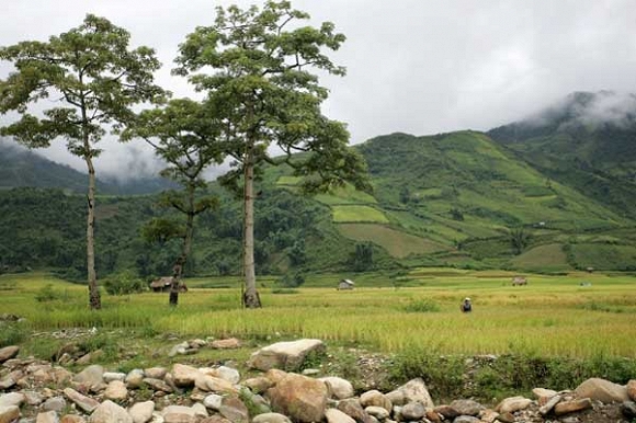 Trở lại Mường Lò - Hình 5