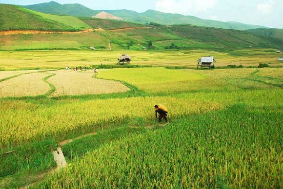 Trở lại Mường Lò - Hình 2