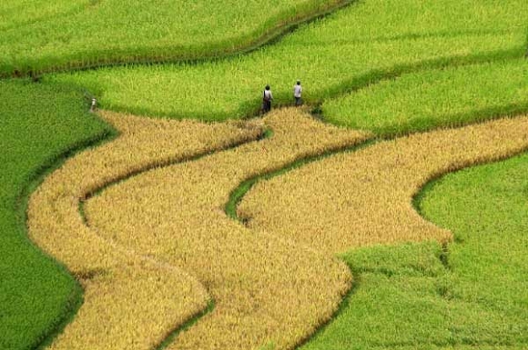 Trở lại Mường Lò - Hình 3