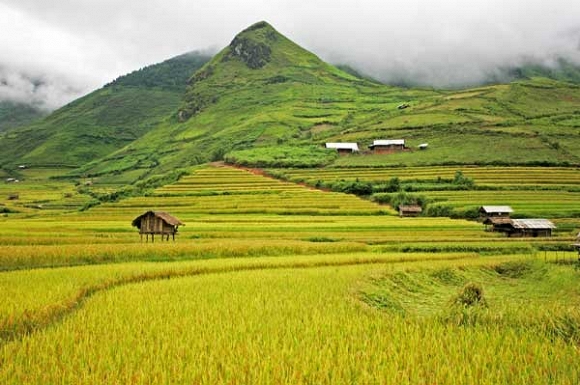 Trở lại Mường Lò - Hình 1