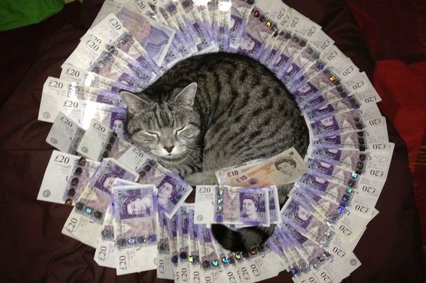 Bức ảnh mèo ôm tiền được bố trí tốt sẽ cho bạn thấy được sự tinh tế và cẩn trọng của người chủ. Con mèo đang thoải mái và vô cùng tự tin khi giữ chặt những đồng tiền. Nếu bạn muốn trải nghiệm sự kỳ diệu và đáng yêu của con mèo xinh đẹp thì hãy xem ngay bức ảnh này.