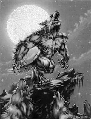 47 ý tưởng hay nhất về Người sói  người sói động vật chiến binh