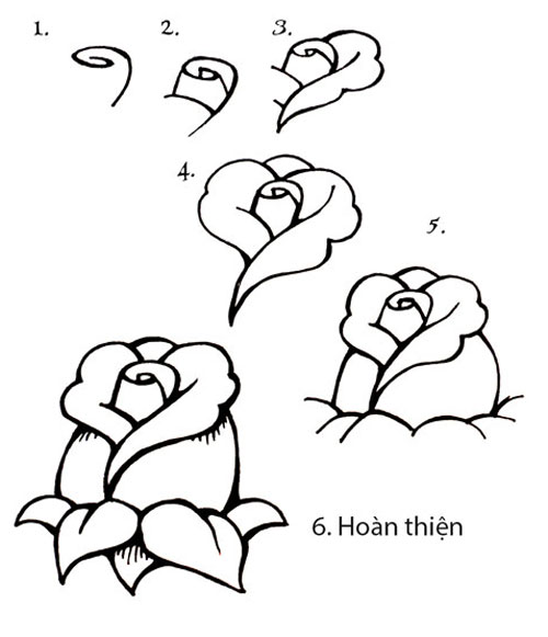 3 Cách Vẽ Hoa Hồng Đẹp Lung Linh - Sáng Tạo - Việt Giải Trí