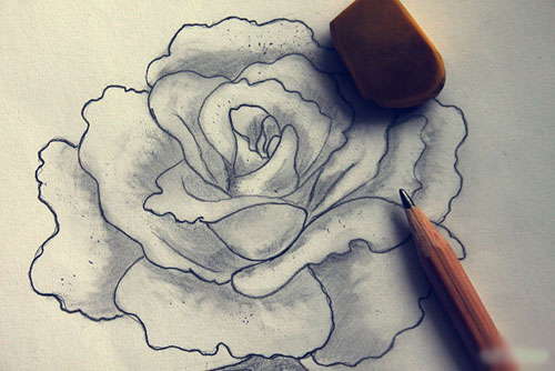 Cách vẽ hoa hồng tặng thầy cô ngày 2011 Vẽ hoa hồng bằng bút chì ngày 83   YouTube