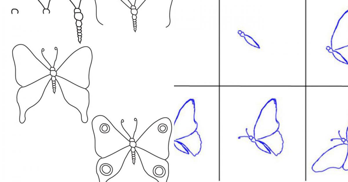 3 cách vẽ bướm xinh dễ thương - Sáng tạo - Việt Giải Trí