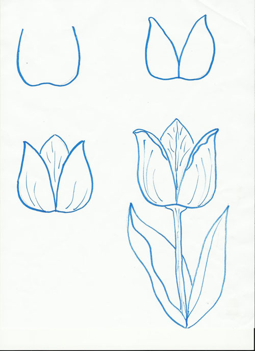 Chi tiết với hơn 78 vẽ hoa tulip bằng bút chì không thể bỏ qua ...