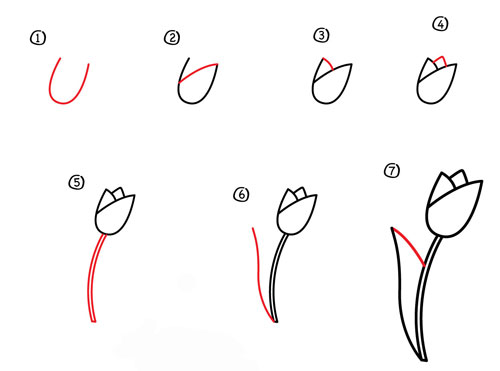 6 Cách Vẽ Hoa Tulip Siêu Cool - Sáng Tạo - Việt Giải Trí
