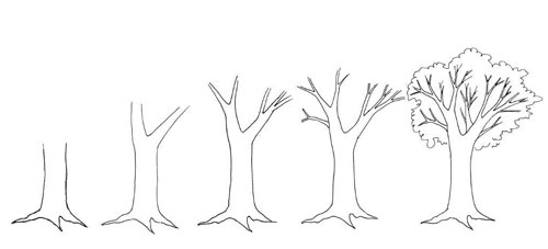 Nếu bạn muốn thử sức với việc vẽ cây đơn giản, hãy xem bộ sưu tập hình ảnh tuyệt vời này. Mọi thứ đều được giải thích một cách rõ ràng và dễ hiểu, giúp bạn hoàn thành tác phẩm một cách nhanh chóng.