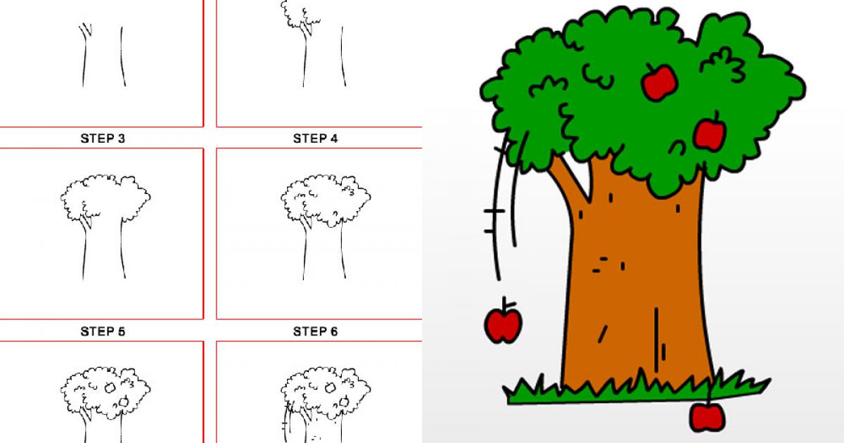 Hướng dẫn cách vẽ cây táo đơn giản và dễ dàng tại nhà