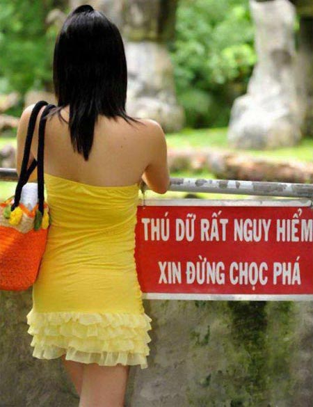 Nào anh em ta cùng nhau chém theo chiều gió - Hình 8