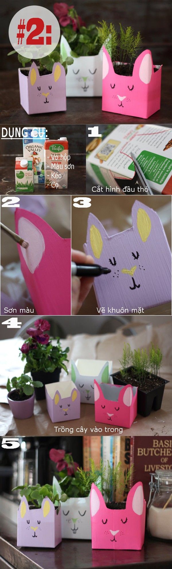 3 ý tưởng tái chế đồ dùng thành chậu trồng cây hay ho - Hình 2