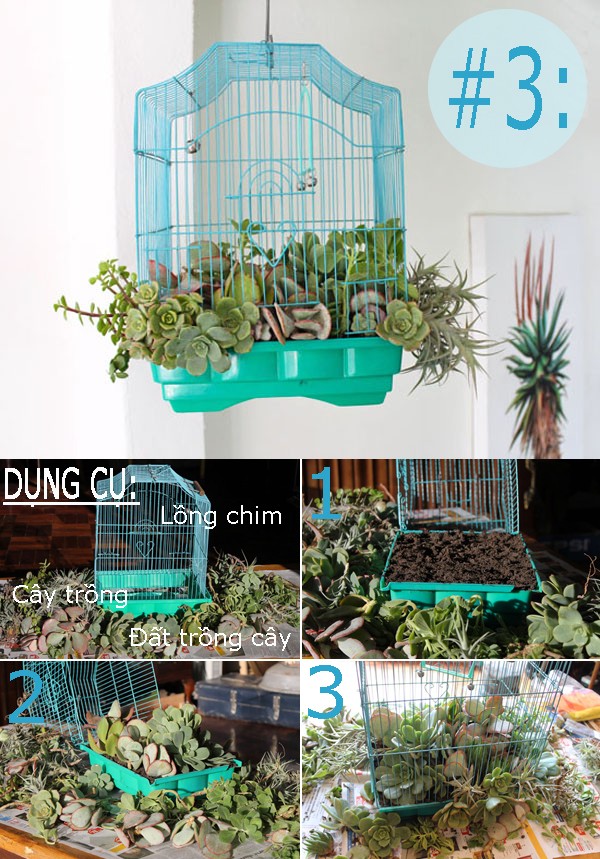 3 ý tưởng tái chế đồ dùng thành chậu trồng cây hay ho - Hình 3