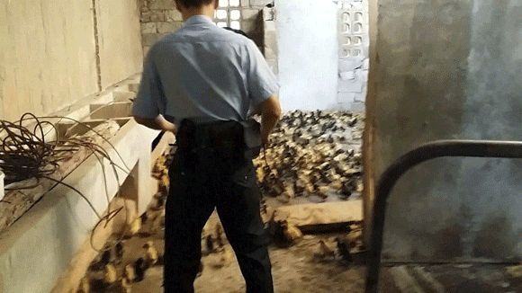 1001 cách đòi tiền: Tụt quần, mặc đồ lót và... tụng kinh - Hình 1