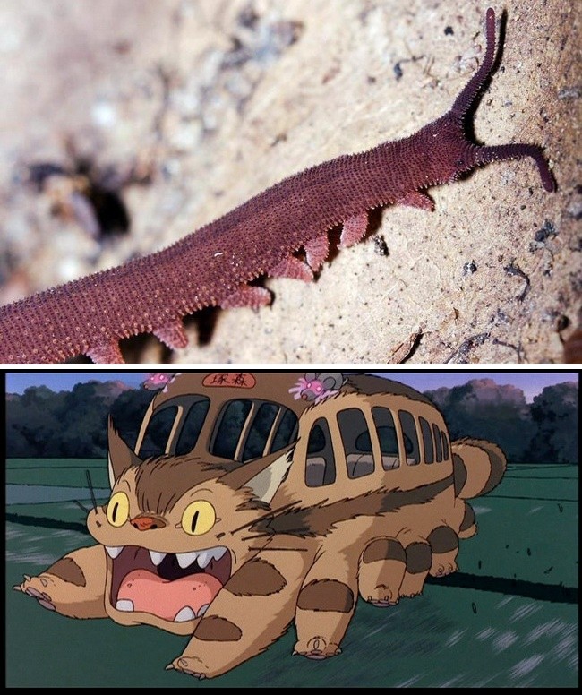 11 điêu có thể ban chưa biêt vê xưởng hoạt hình Ghibli - Hình 10